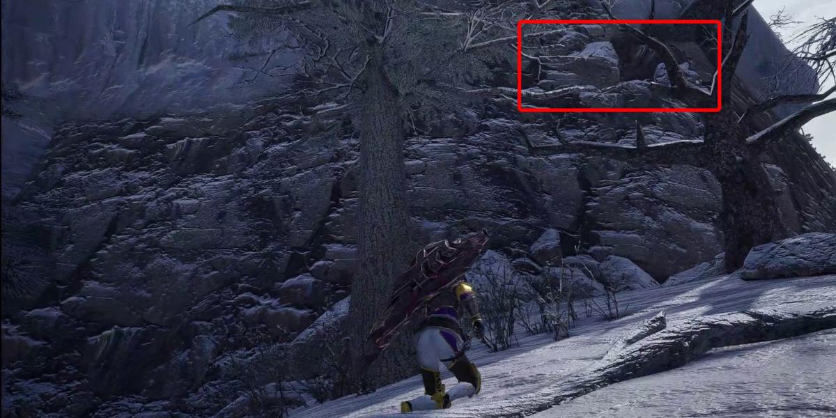 Monster Hunter Rise - Mostrando Alcova na Parede Secreta com Caixa na Seção Inferior 5 do Mapa