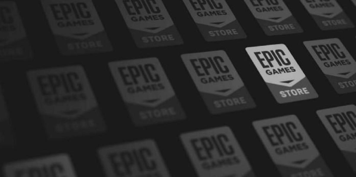 Epic Games Store finalmente tem filtros de biblioteca