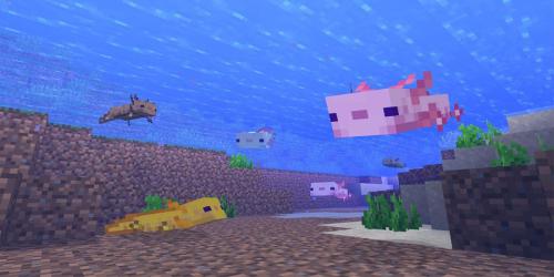 Fã de Minecraft cria arte mostrando como seria o Axolotl se fosse um Pokemon