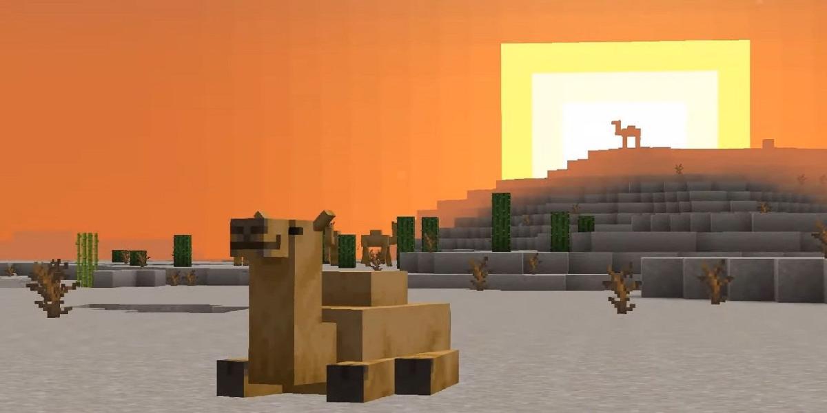 Fã de Minecraft percebe detalhes estranhos sobre camelos