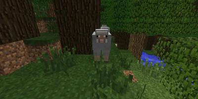 Fã de Minecraft recria Beat Sabre, mas com ovelhas