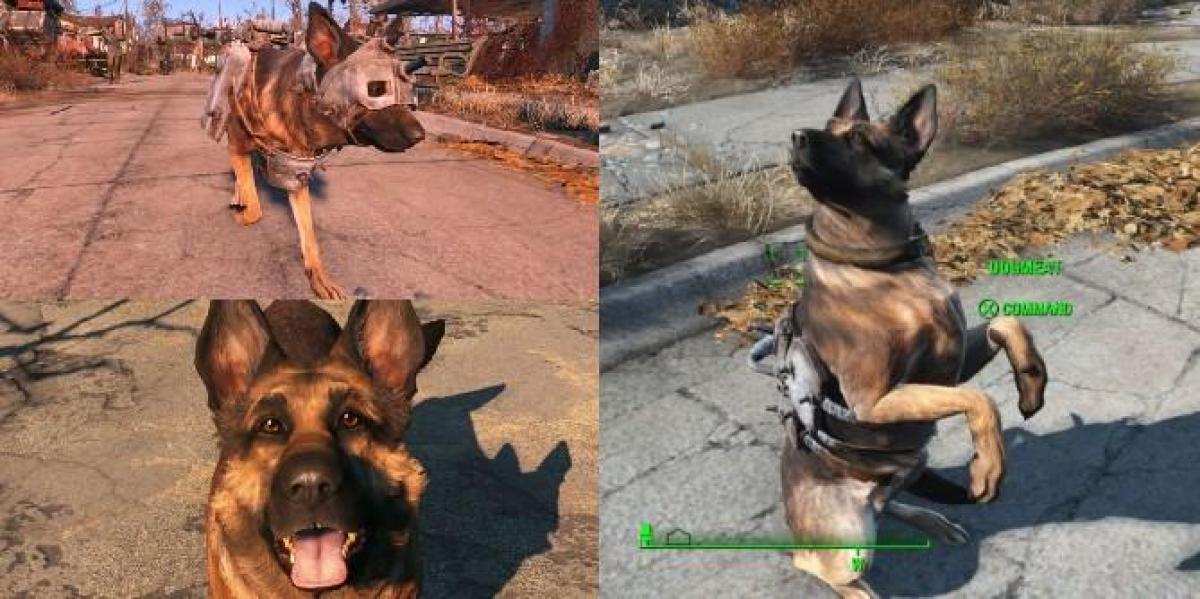 Fallout 4: Onde encontrar a armadura do Dogmeat (e 7 outras coisas que você deve saber sobre o cachorro)