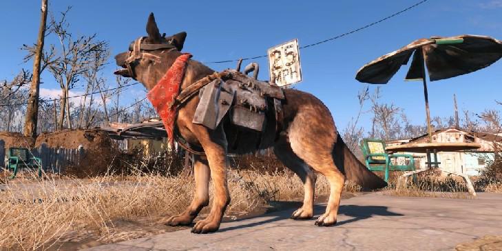 Fallout 4: Onde encontrar a armadura do Dogmeat (e 7 outras coisas que você deve saber sobre o cachorro)