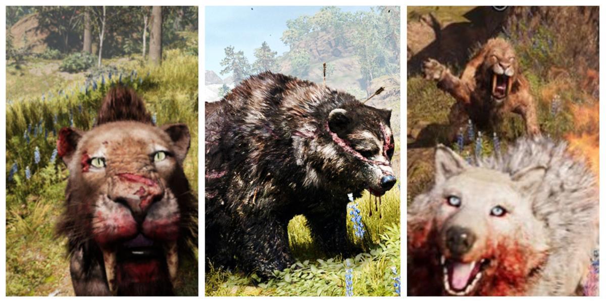 Far Cry Primal: Melhores feras para domar, classificadas