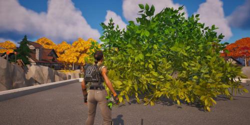 Fortnite: como se esconder em diferentes arbustos que você derrubou (localização da bomba no arbusto grande)