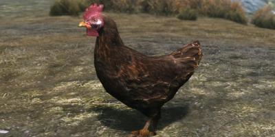 Gerbils montando galinhas em Skyrim: o mod mais adorável!