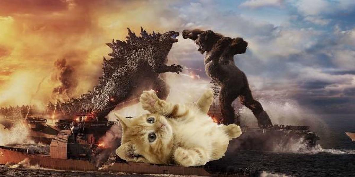 Godzilla e Kong não são páreo para um bom e velho gato da Internet