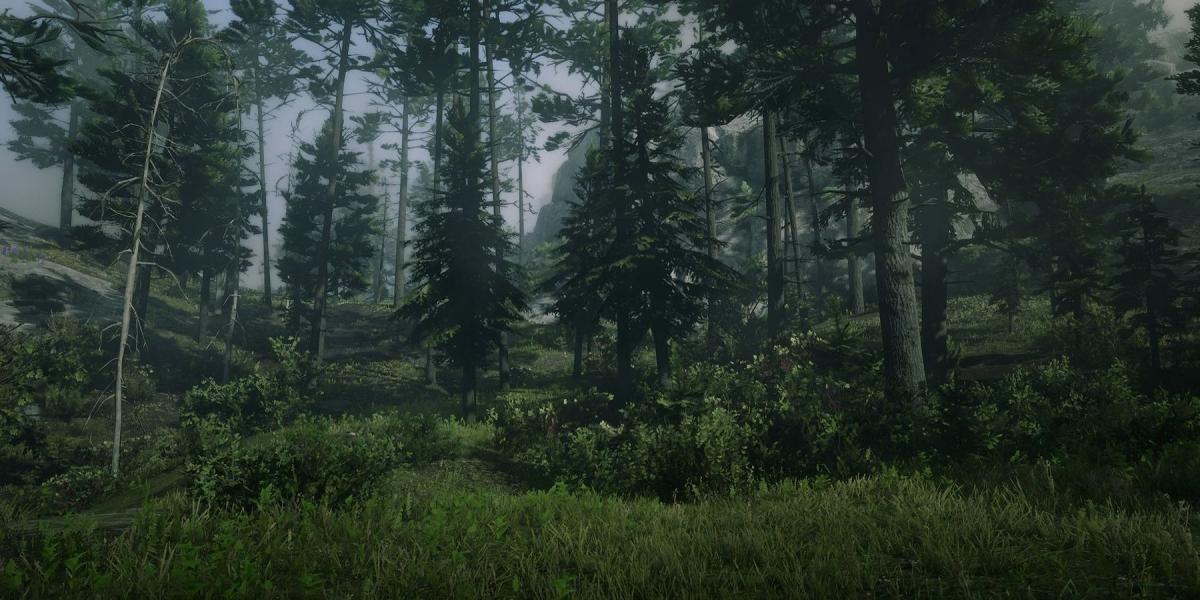 Captura de tela da Floresta dos Ossos Negros de Red Dead Redemption 2