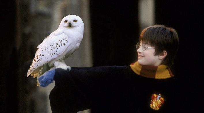 Harry Potter: Hogwarts Mystery precisa resolver um problema que tem há anos