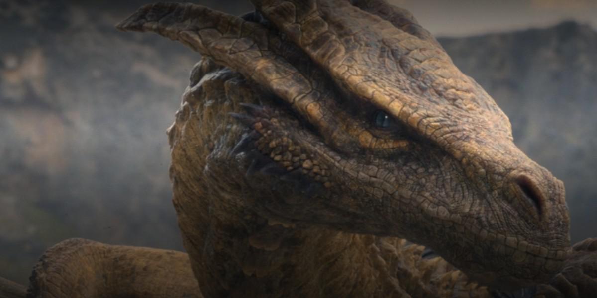 House of the Dragon: 8 dragões que aparecem na 1ª temporada