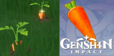 Genshin Impact: Locais de Cenoura