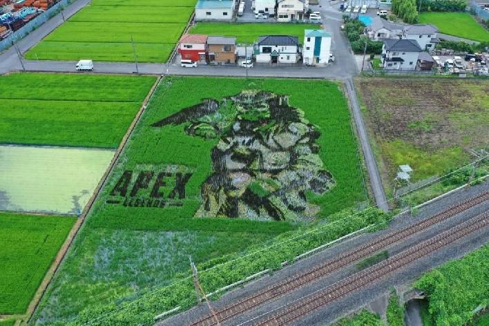 Impressionante arte de Apex Legends Bloodhound feita em arrozais no Japão