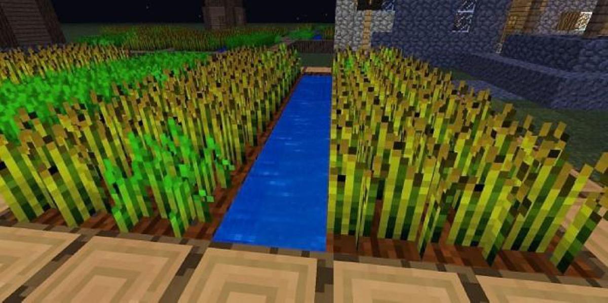 Incrível truque de Minecraft torna a agricultura significativamente mais rápida