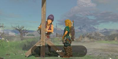 Jogador constrói abrigo para NPC em Zelda.