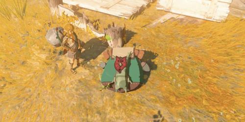 Jogador crucifica Korok em Zelda: Tears of the Kingdom