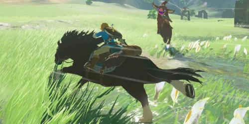 Jogador de Breath of the Wild faz descoberta útil após quase 2.500 horas de jogo