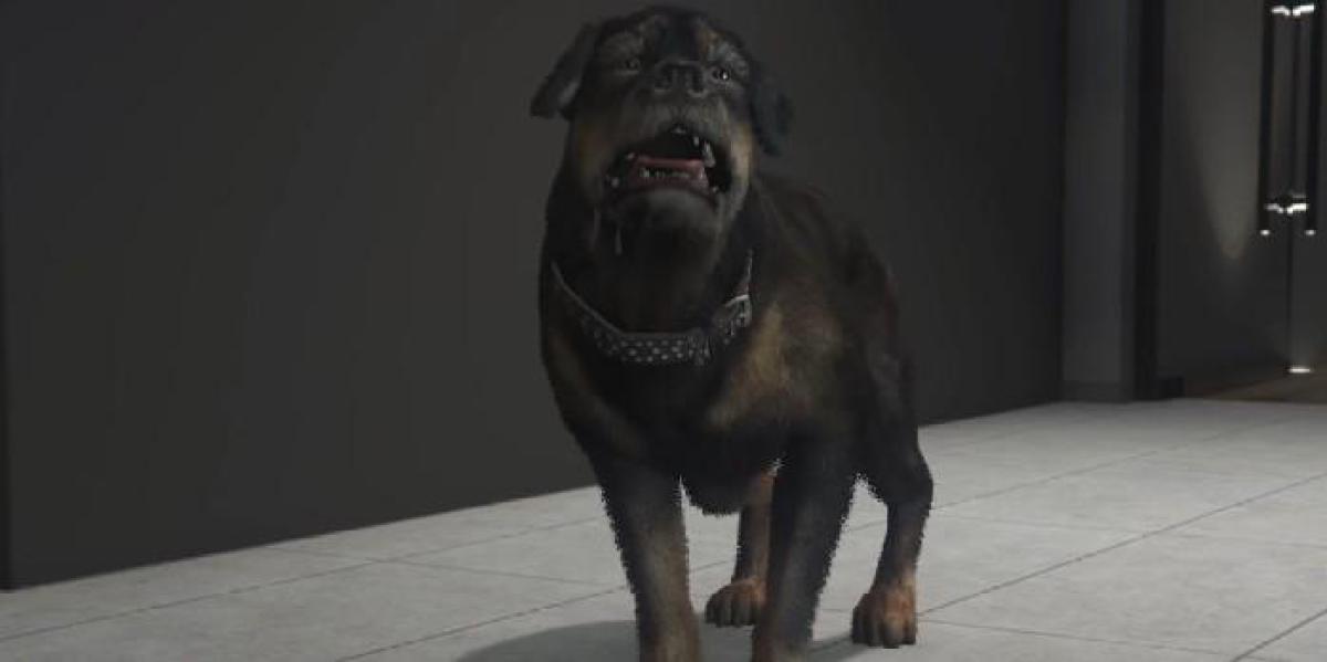 Jogador de longa data do GTA Online atinge o nível 500 ao acariciar cachorro
