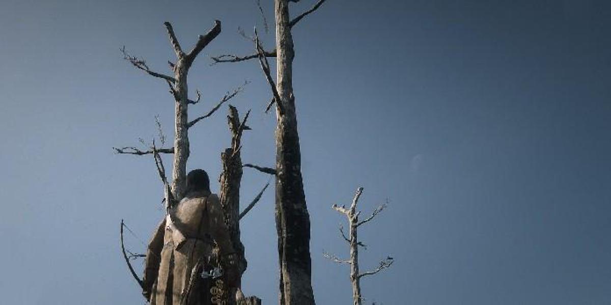 Jogador de Red Dead Online encontra mensagem estranha em árvores mortas