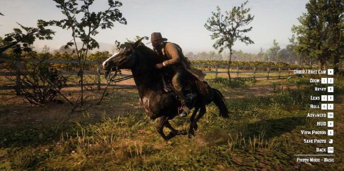 Jogador de Red Dead Redemption 2 captura incrível imagem de laço no modo foto