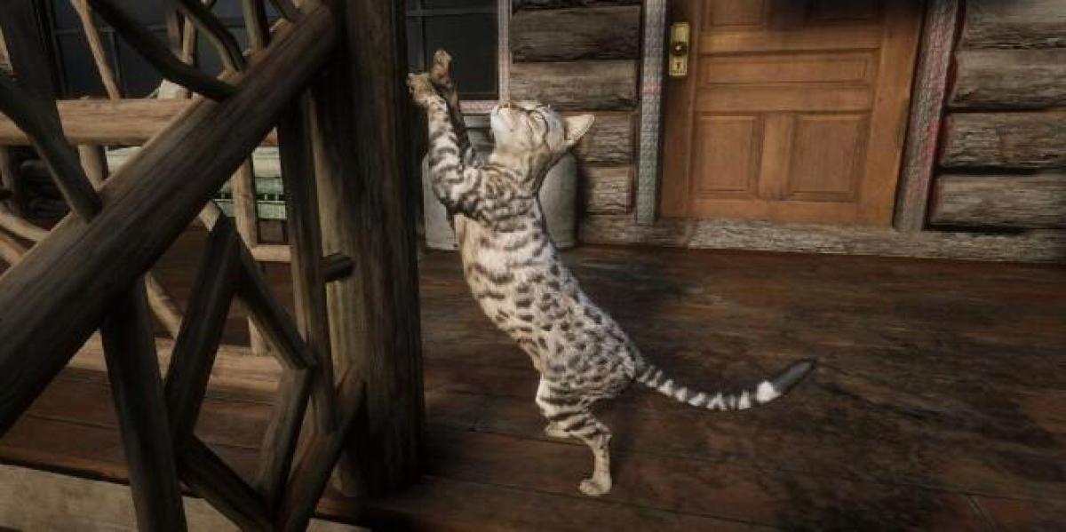Jogador de Red Dead Redemption 2 encontra gato carregando um rato