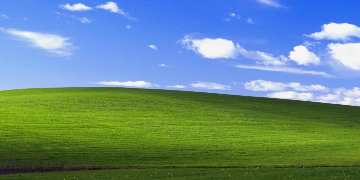 Jogador de World of Warcraft usa jogo para recriar o famoso fundo do Windows XP