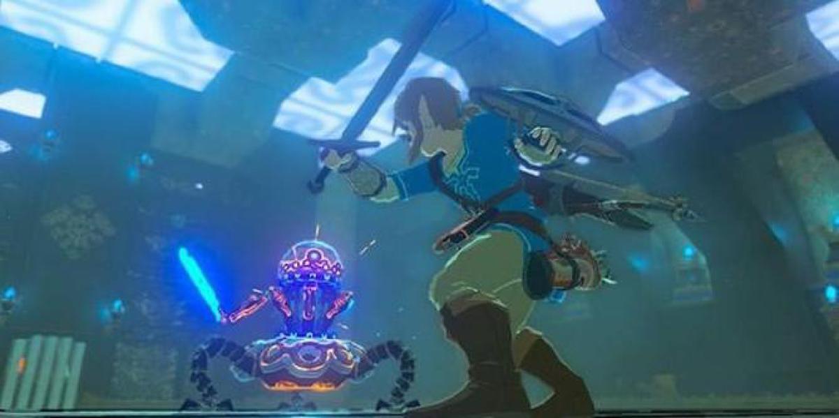 Jogador de Zelda: Breath of the Wild descobre detalhes de animação esquecidos