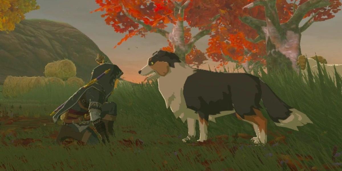 Jogador de Zelda cria truque incrível para acariciar cachorros no jogo!