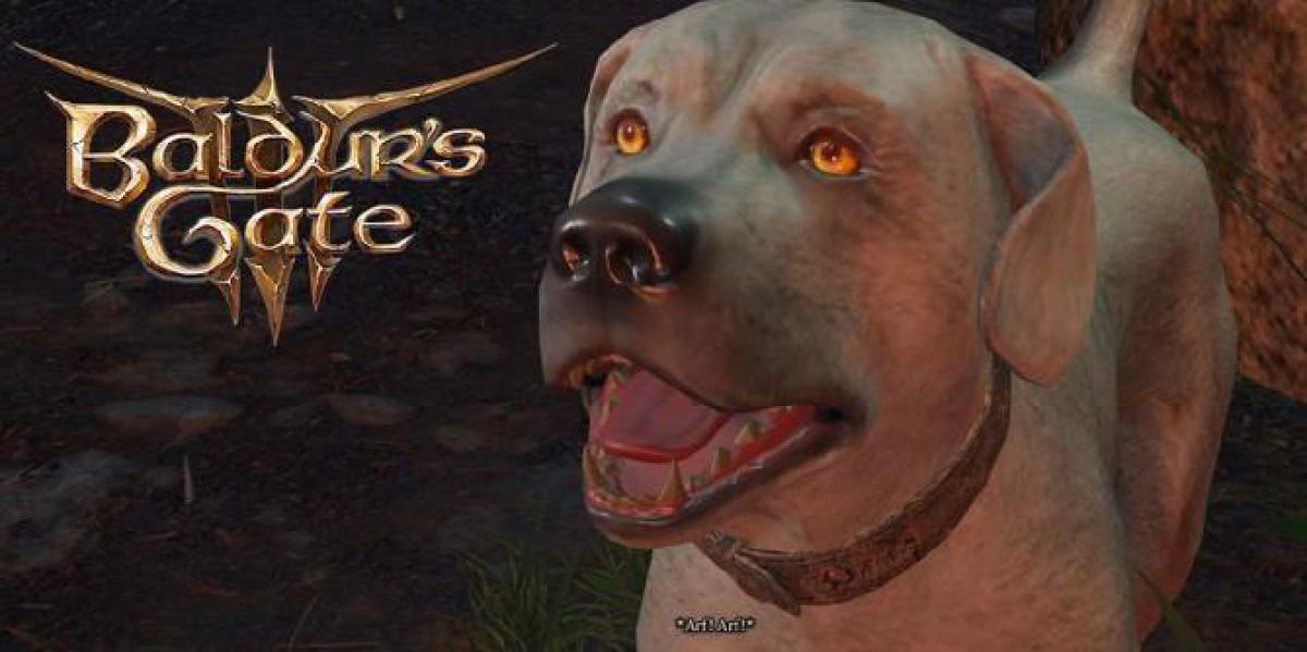 Jogadores de Baldur s Gate 3 acariciam o cachorro 400 mil vezes