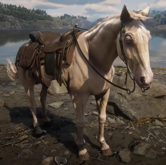 Jogadores de Red Dead Redemption 2 fazem um bom argumento sobre Arthur e John s Horses