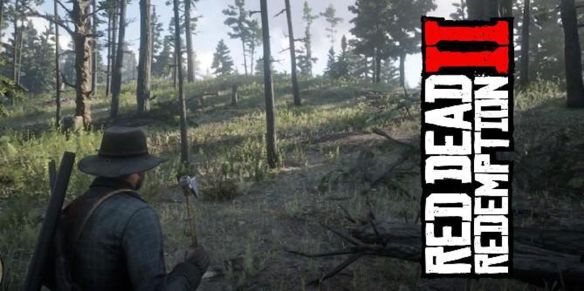 Jogadores de Red Dead Redemption 2 resolveram um dos maiores mistérios do jogo