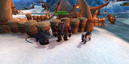 Jogadores de World of Warcraft podem acidentalmente jogar fora anéis que podem ser trocados por uma montaria