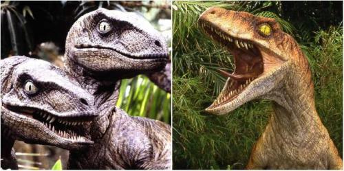 Jurassic Park: 10 coisas que você não sabia sobre o comportamento do Velociraptor no site B