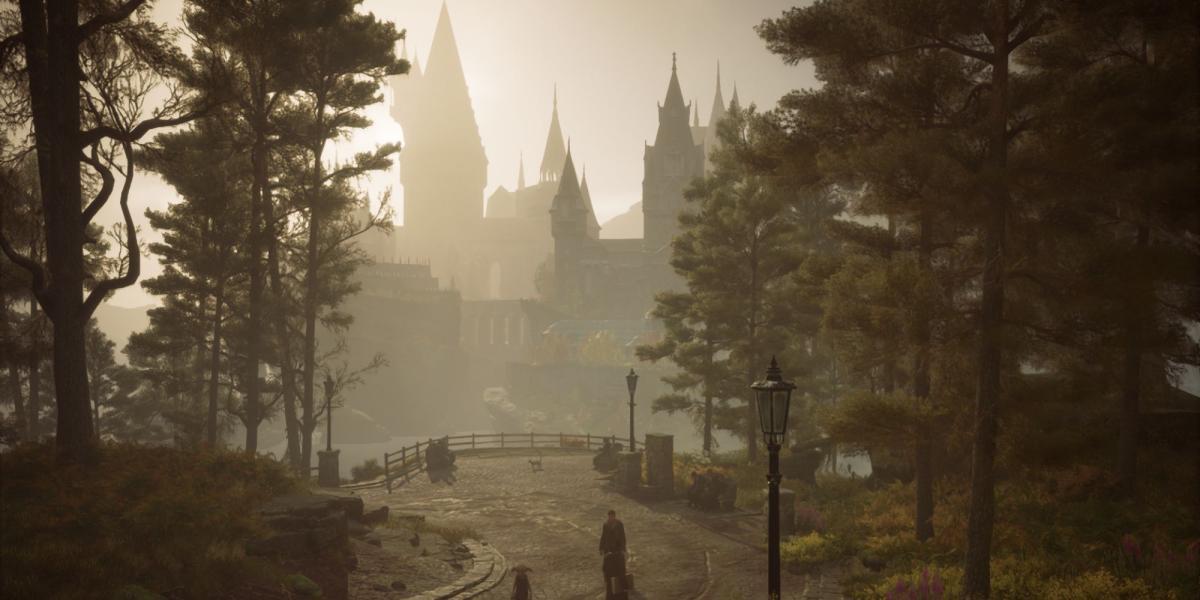 Legado de Hogwarts: 7 pequenos detalhes que tornam o jogo bonito