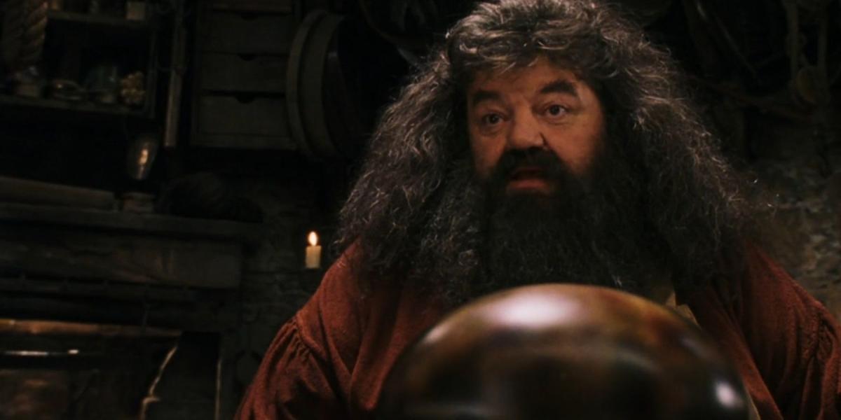 Hagrid tenta chocar um ovo de dragão em Harry Potter e a Pedra Filosofal.