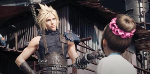 Localização de gatos de Final Fantasy 7 Remake Lost Friends