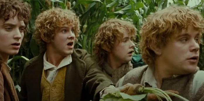 LOTR: 6 coisas que apenas leitores de livros sabem sobre Frodo