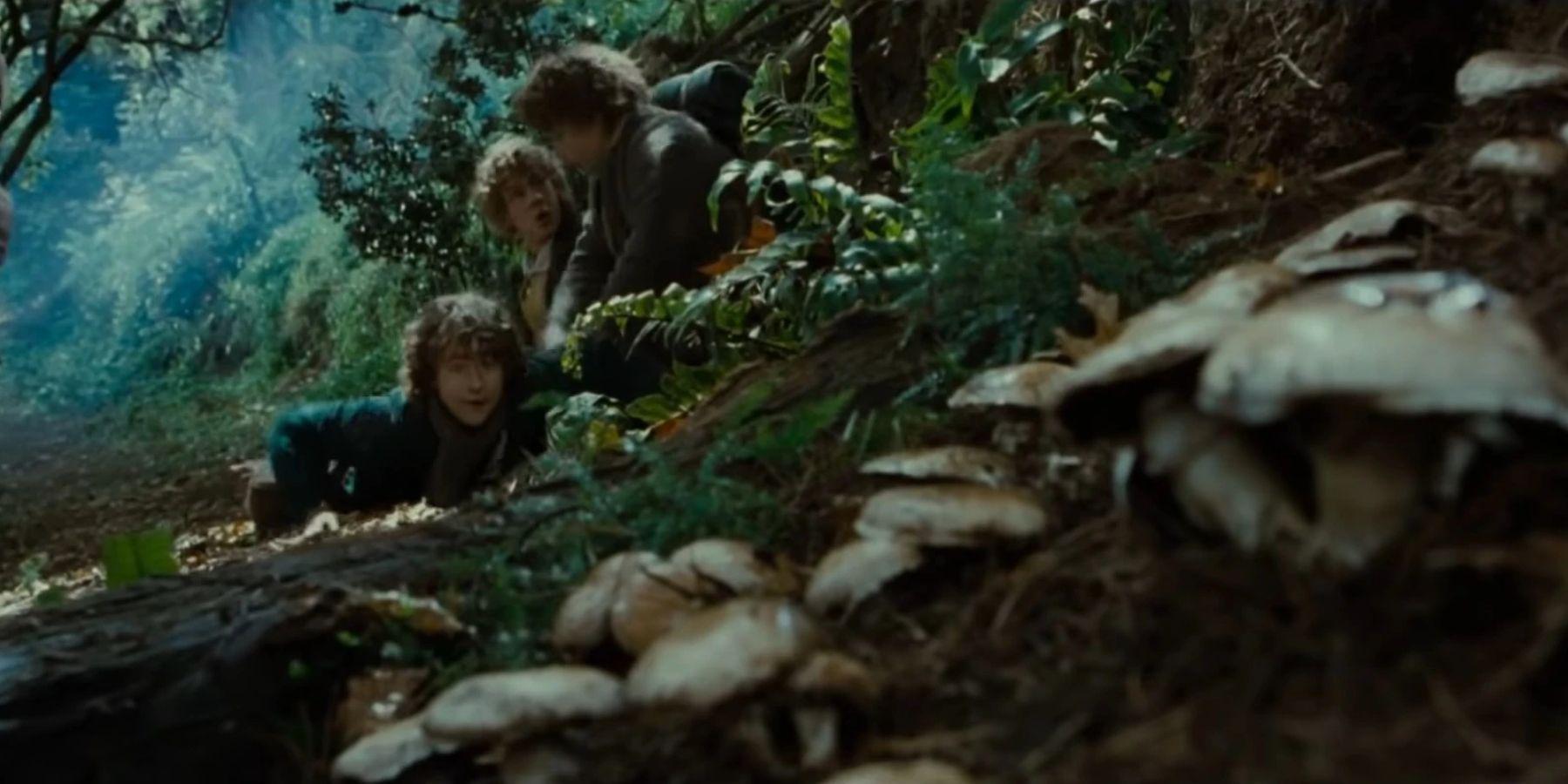 LOTR: Por que os Hobbits precisam ficar fora da estrada?