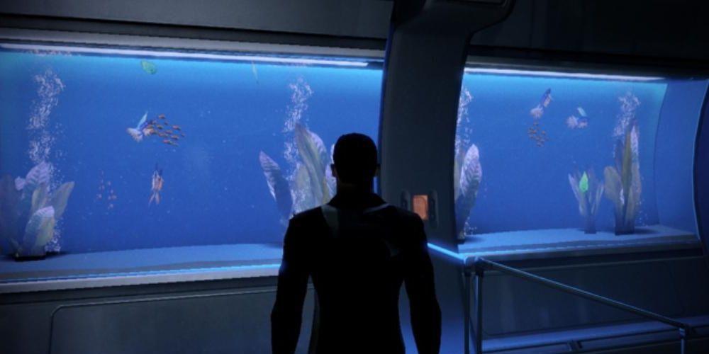Shepard olhando para o aquário.