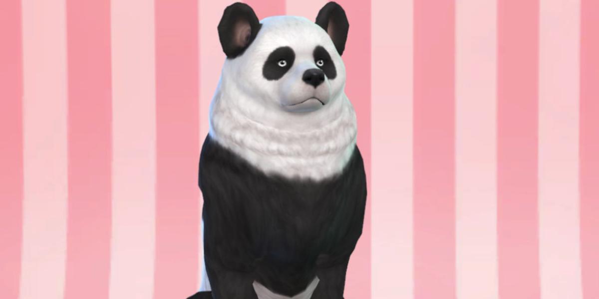 Cachorro panda de conteúdo personalizado para The Sims 4
