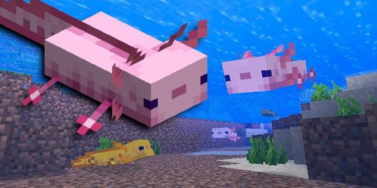 Minecraft: Como criar Axolotl
