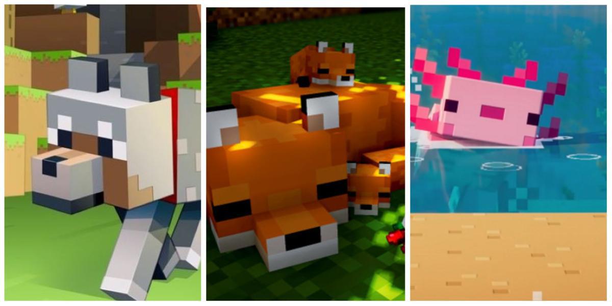 Minecraft: melhores animais de estimação, classificados