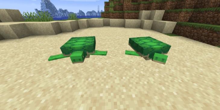 Minecraft: o que as tartarugas comem?