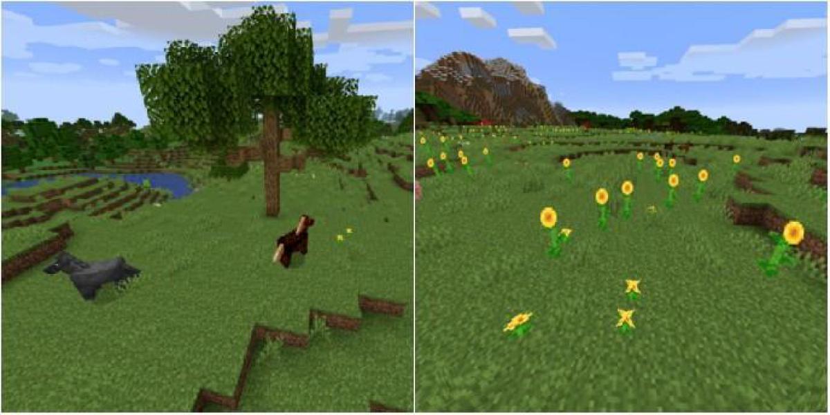 Minecraft: tudo o que você pode encontrar em um bioma de planícies