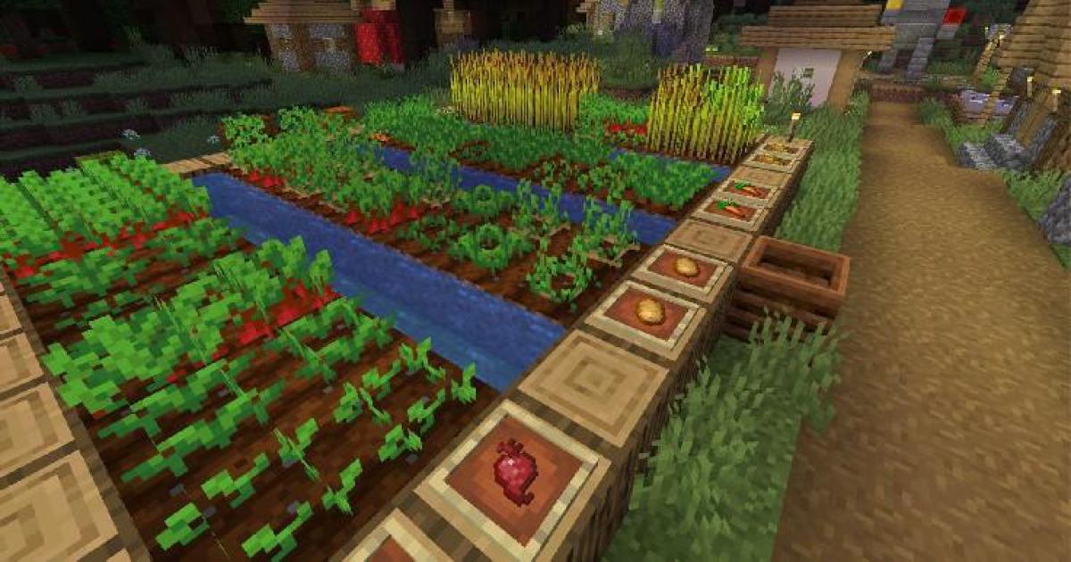 Minecraft: tudo o que você precisa saber sobre cultivos