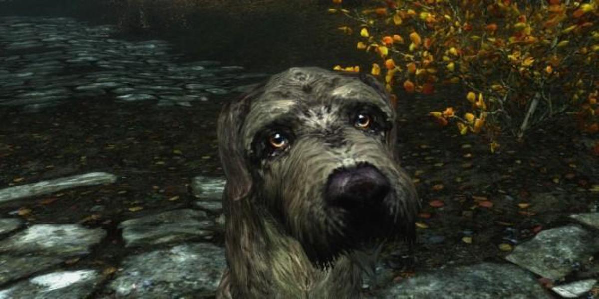 Mod de Skyrim permite que jogadores acaricie cães