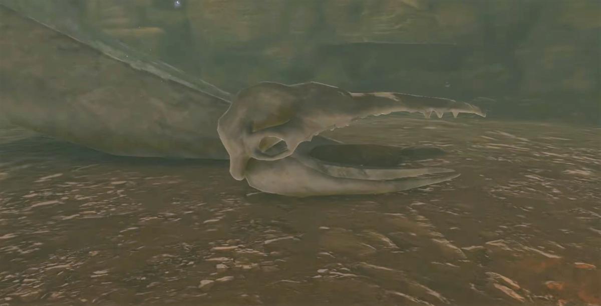 Monte o fóssil gigante em Zelda: Tears of the Kingdom