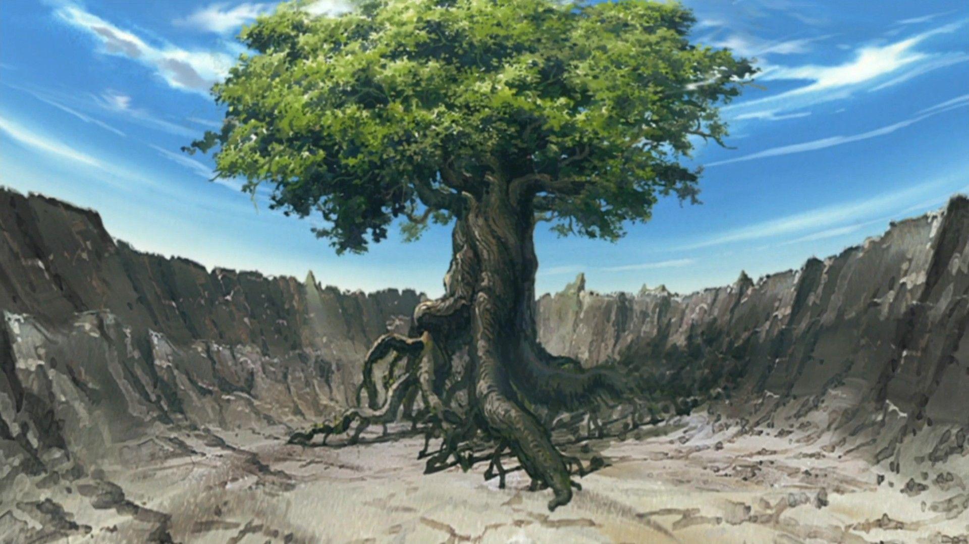 Naruto: A Árvore Divina, Explicada