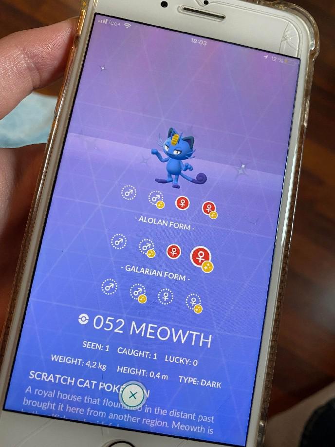 Novo jogador de Pokemon GO recebe Shiny Meowth como um de seus primeiros Pokemon