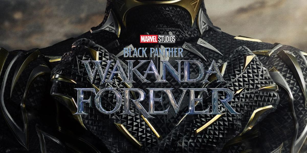 Novo pôster de Pantera Negra: Wakanda Forever mostra herói desmascarado