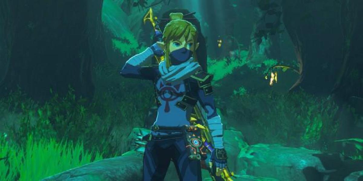 O caso de Zelda: Breath of the Wild 2 para apresentar Sheik